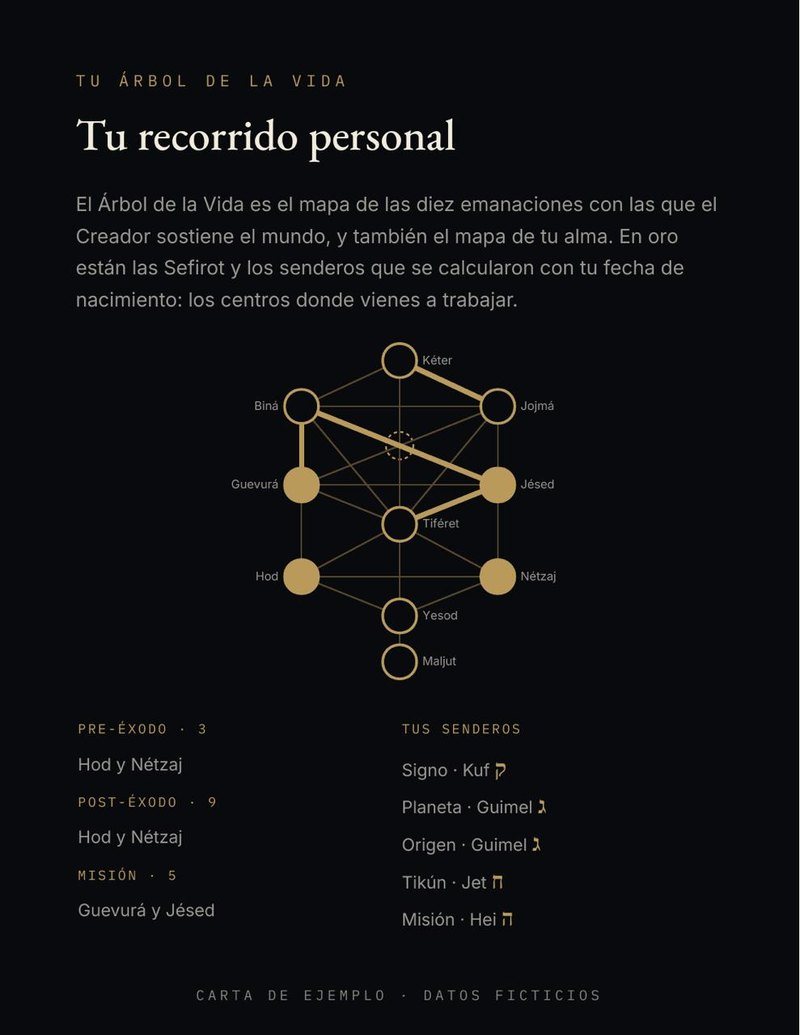 Tu Árbol